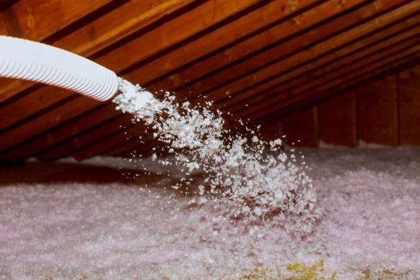 Best Attic Insulation Near Me  in Welby, CO