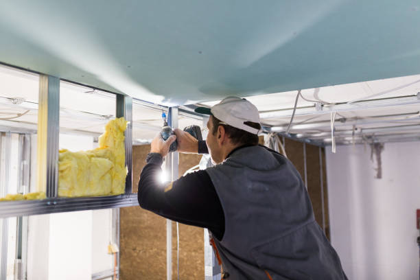 Best Soundproof Insulation Installation  in Welby, CO