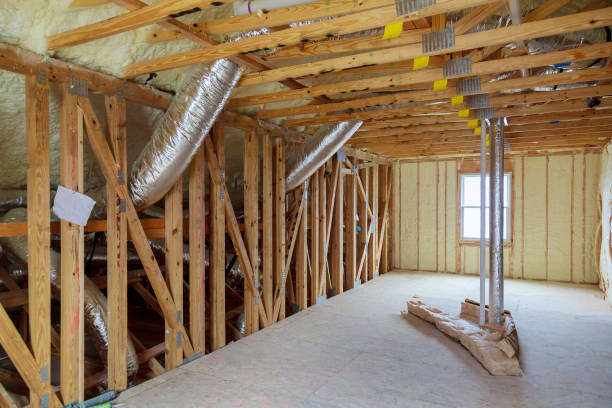 Best Insulation Removal  in Welby, CO