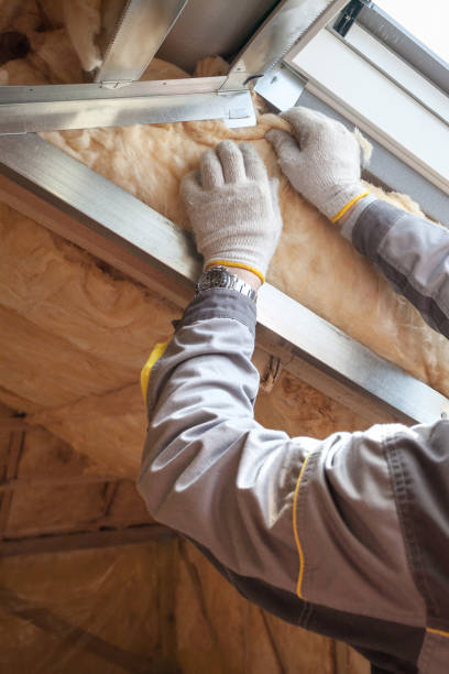 Best Residential Insulation Services  in Welby, CO